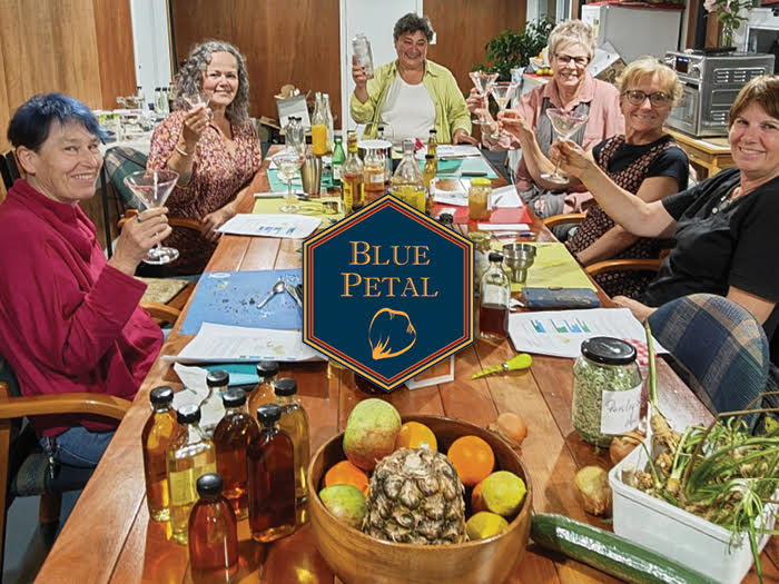 Mothers & Makers: A Celebration of Herbal Wisdom